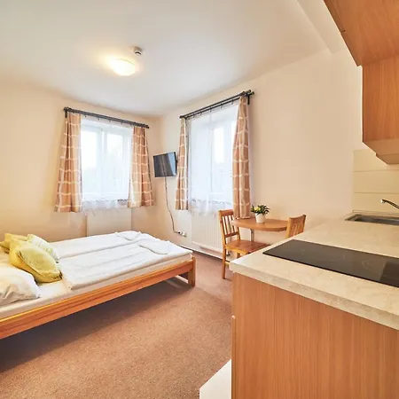 Guest house Adrie Janske Lazne